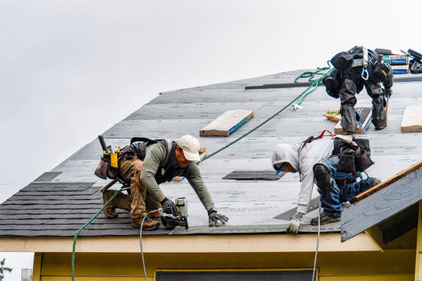 Professional Roof Replacement technician working in Downey, CA